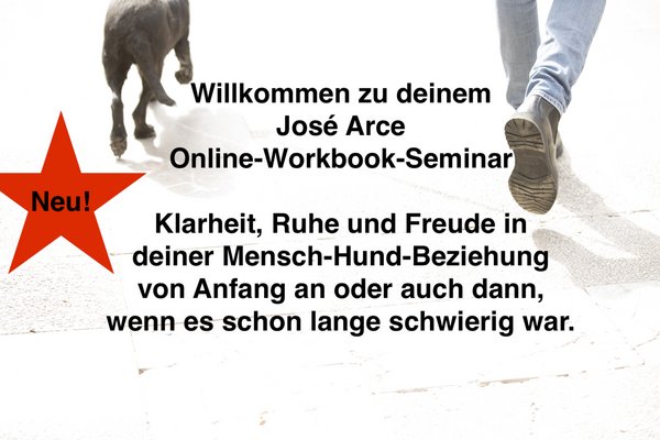 Online Workbook Seminar